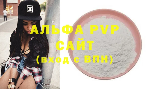 дмт Бородино