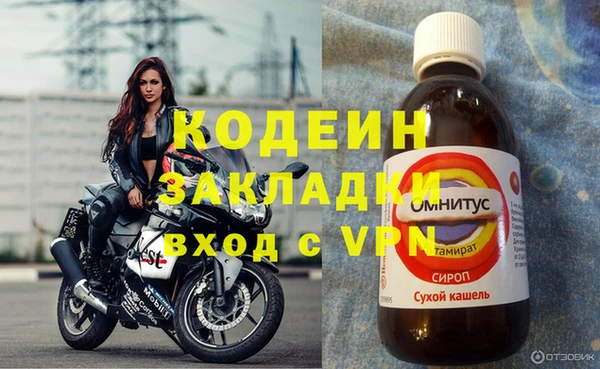 дмт Бородино