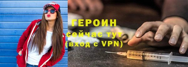 дмт Бородино