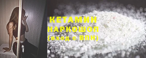 дмт Бородино