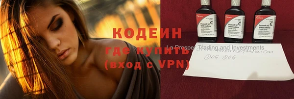 дмт Бородино