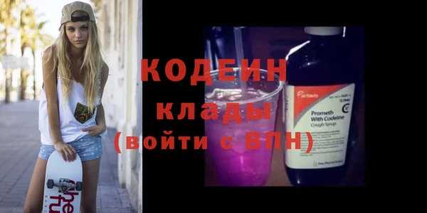 дмт Бородино