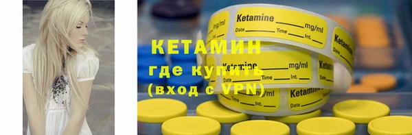 дмт Бородино