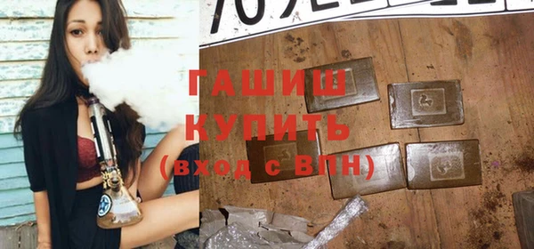 дмт Бородино