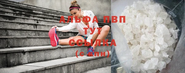дмт Бородино