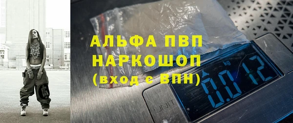 дмт Бородино
