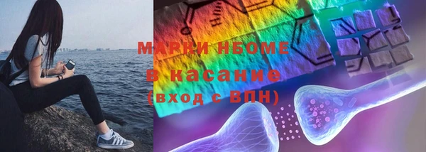 дмт Бородино