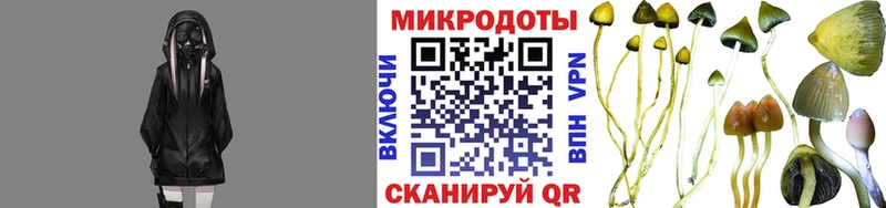 закладка  ссылка на мегу маркетплейс  Псилоцибиновые грибы MAGIC MUSHROOMS  Клин 